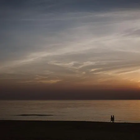 Kijkduin - 711 Dağ evi