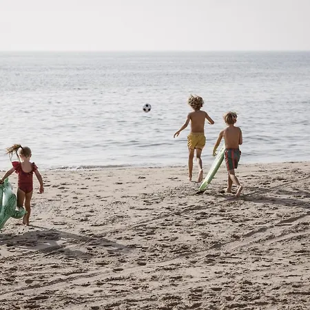 Kijkduin - 711 Dağ evi